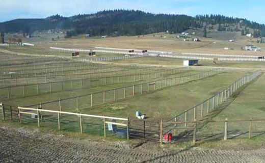 Kalispell Horse Boarding and Event Center